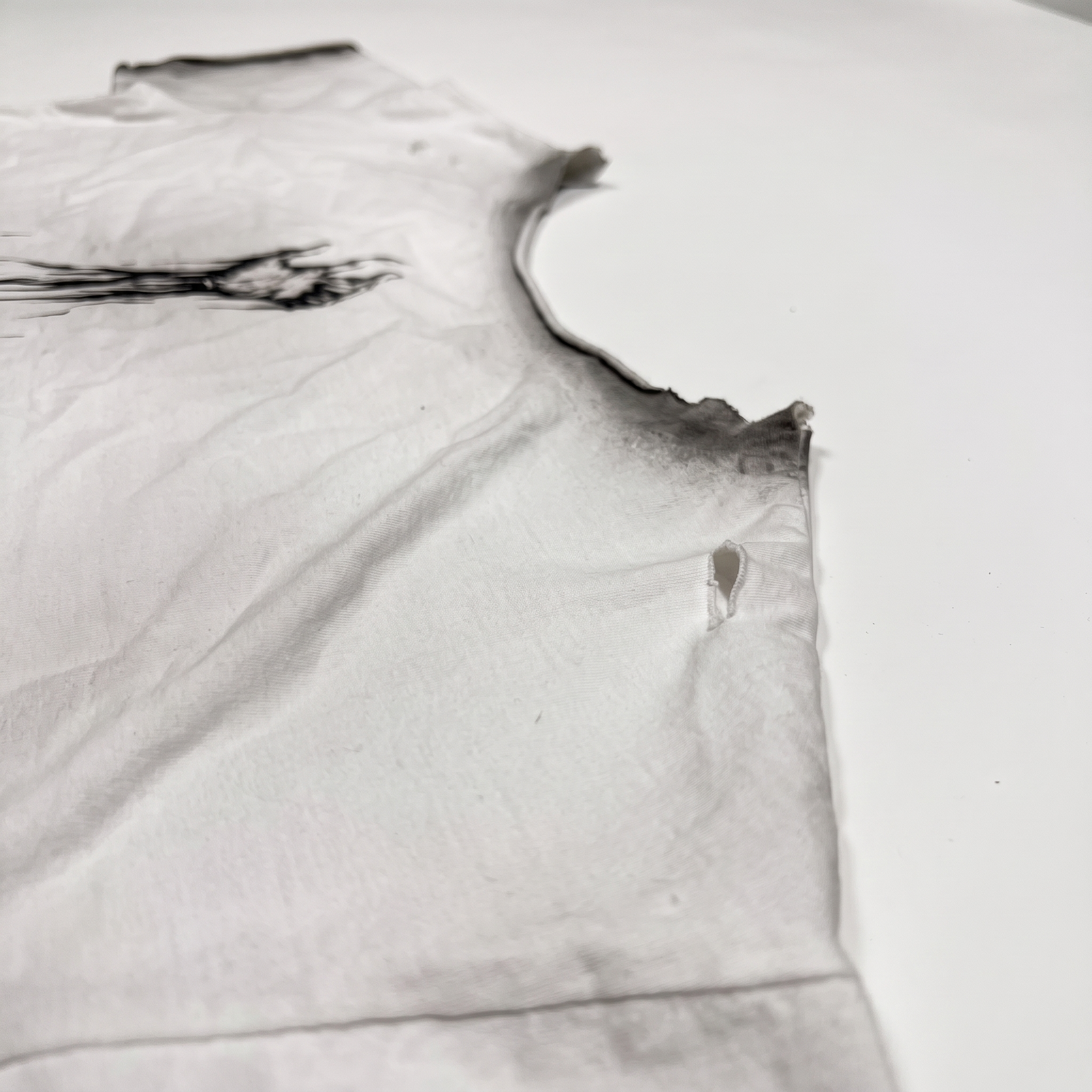 Slightly Cropped Dreams Vintage T (Pre Order Now)